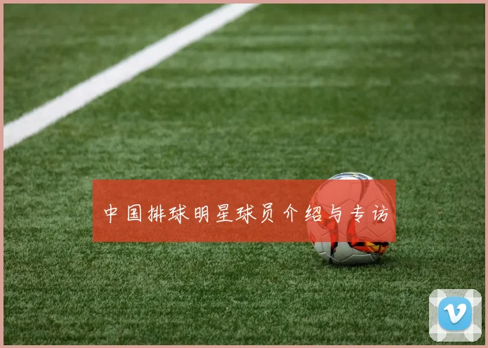 中国排球明星球员介绍与专访